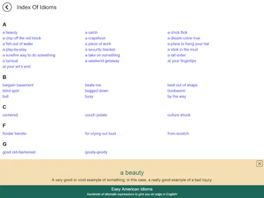 Easy American Idioms android App screenshot 0