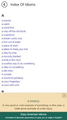 Easy American Idioms android App screenshot 4